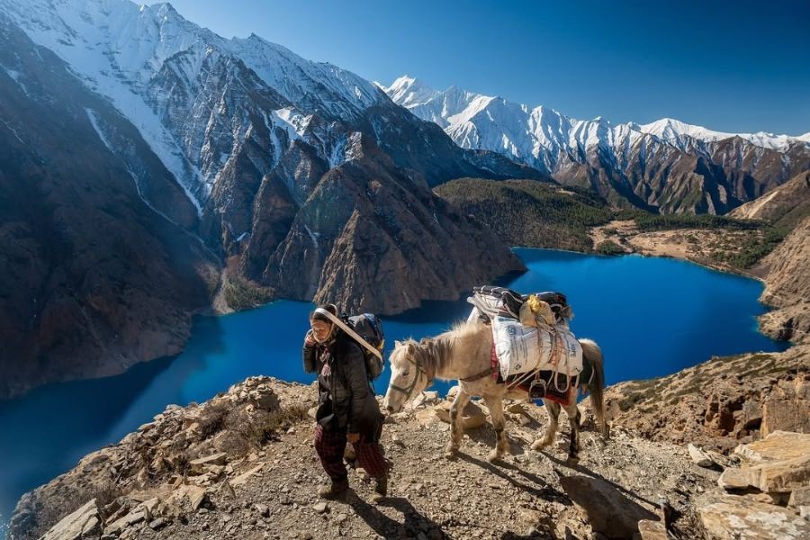 Trekker with yak beside turquoise lake in Upper Dolpo